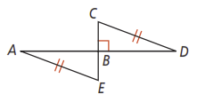 Activity 2